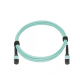 NS-MPO12-MPO12-A3, MPO CABLE patch cord UPC/UPC 2m Female (для QSFP+ 40G 100M)